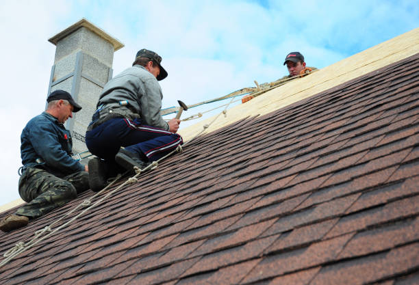 Best Shingle Roofing Installation  in Longtown, OK