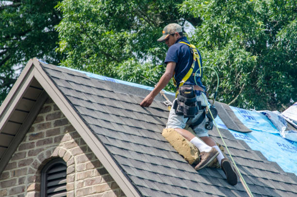 Best Storm Damage Roof Repair  in Longtown, OK